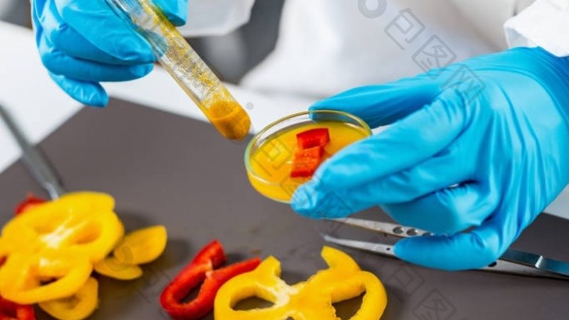 揭秘零食批发市场：厂家直供，价格背后的秘密